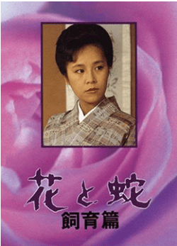 花与蛇 饲育篇