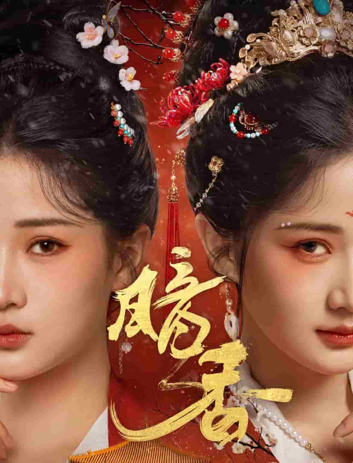 暗香（短 剧版）